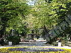 Градска градина, Попово