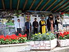 Турлашки фолклорен събор 2013, Чупрене